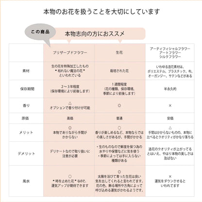 フラワージュエリーBOX バタフライ (SV925リメイクサービス付き)